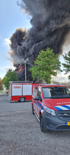 brand horst