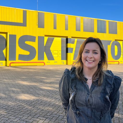 Linsy voor de Risk Factory