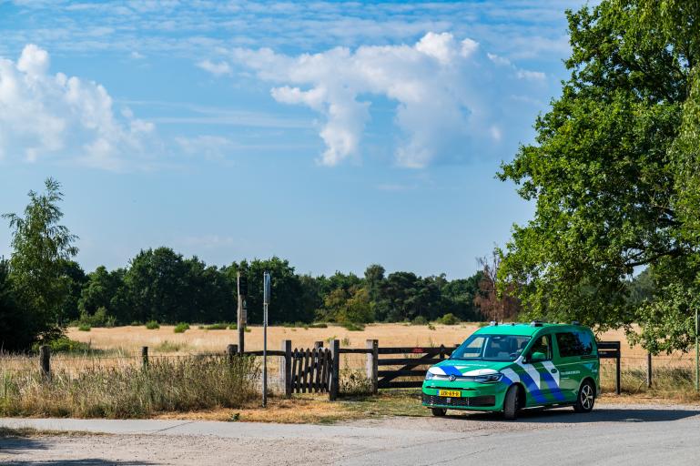 Groene auto in landschap 