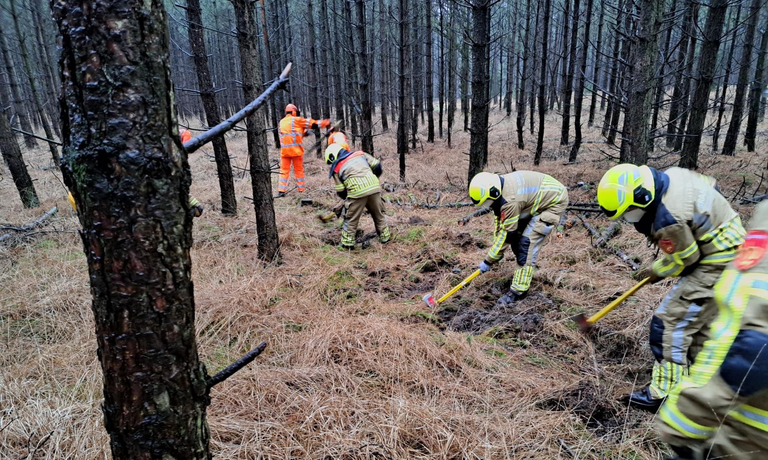 Handcrew Zuid Nederland in actie in natuurgebied