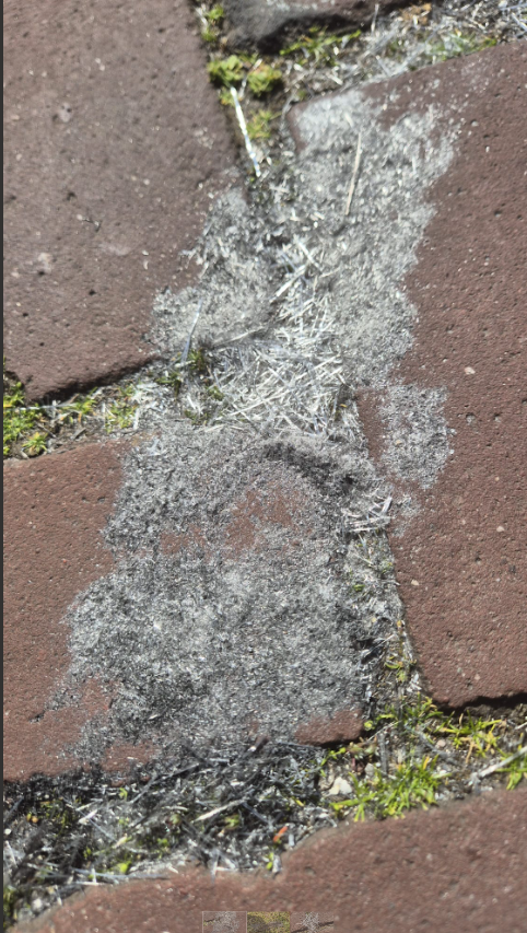 Voorbeeld roetdeeltjes en vezels van dakbedekking