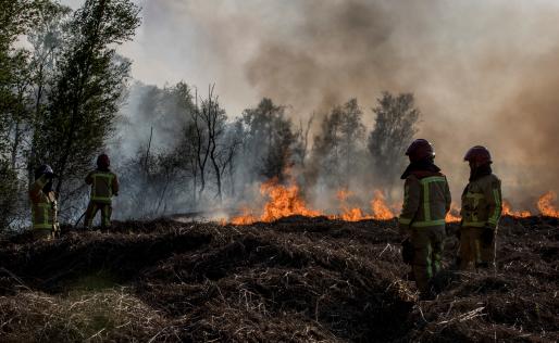 Brandweermensen in brandend natuurgebied